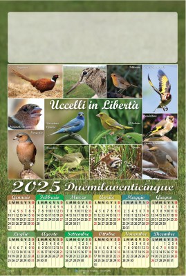 Calendari personalizzati poster uccelli