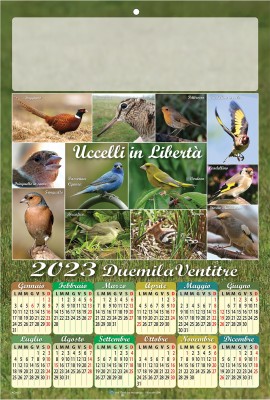 Calendario poster uccelli 2023