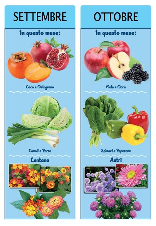 Calendari Orto e Giardino personalizzati ️ AGM