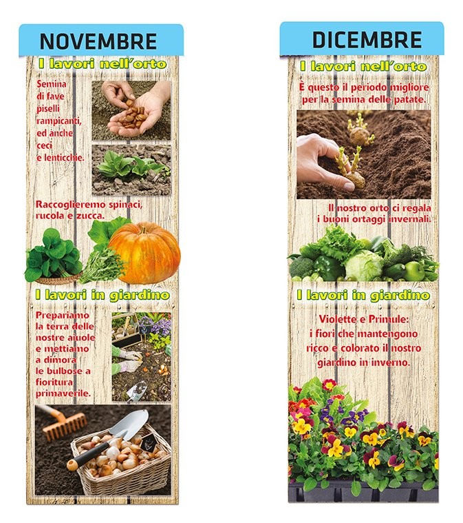 Calendario: Semine degli ortaggi in casa/serra - L'orto con Larens