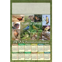 Calendari personalizzati poster uccelli