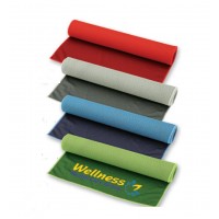 Telo Bicolore Palestra - 986