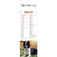 Calendari personalizzati cani e gatti silhouette 2027