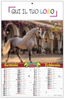 Calendari personalizzati Cavalli 2027
