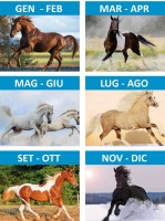 Calendari personalizzati Cavalli 2026