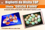 Biglietti da visita personalizzati guscio d'uovo
