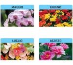 Calendari personalizzati fiori 2026
