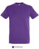 T-shirt personalizzate Sol's - Regent