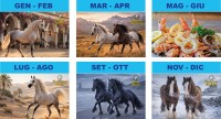 Calendari personalizzati Cavalli 2027