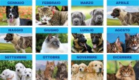 Calendari personalizzati cani e gatti 2027