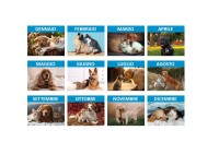 Calendari personalizzati cani e gatti 2027