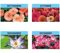 Calendari personalizzati fiori 2026