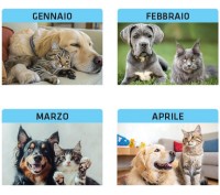 Calendari personalizzati cani e gatti 2027