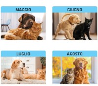 Calendari personalizzati cani e gatti 2027
