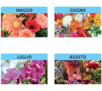 Calendari personalizzati Fiori 2027