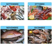 Calendari personalizzati Pesce crudo 2027