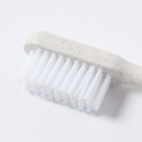 Spazzolino denti personalizzato - Strawfresh