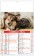 Calendari cani e gatti personalizzati 2025