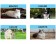 Calendari personalizzati da tavolo cani e gatti 2025